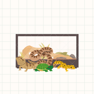 Scaly Friends