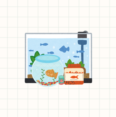 The Aquatic Corner