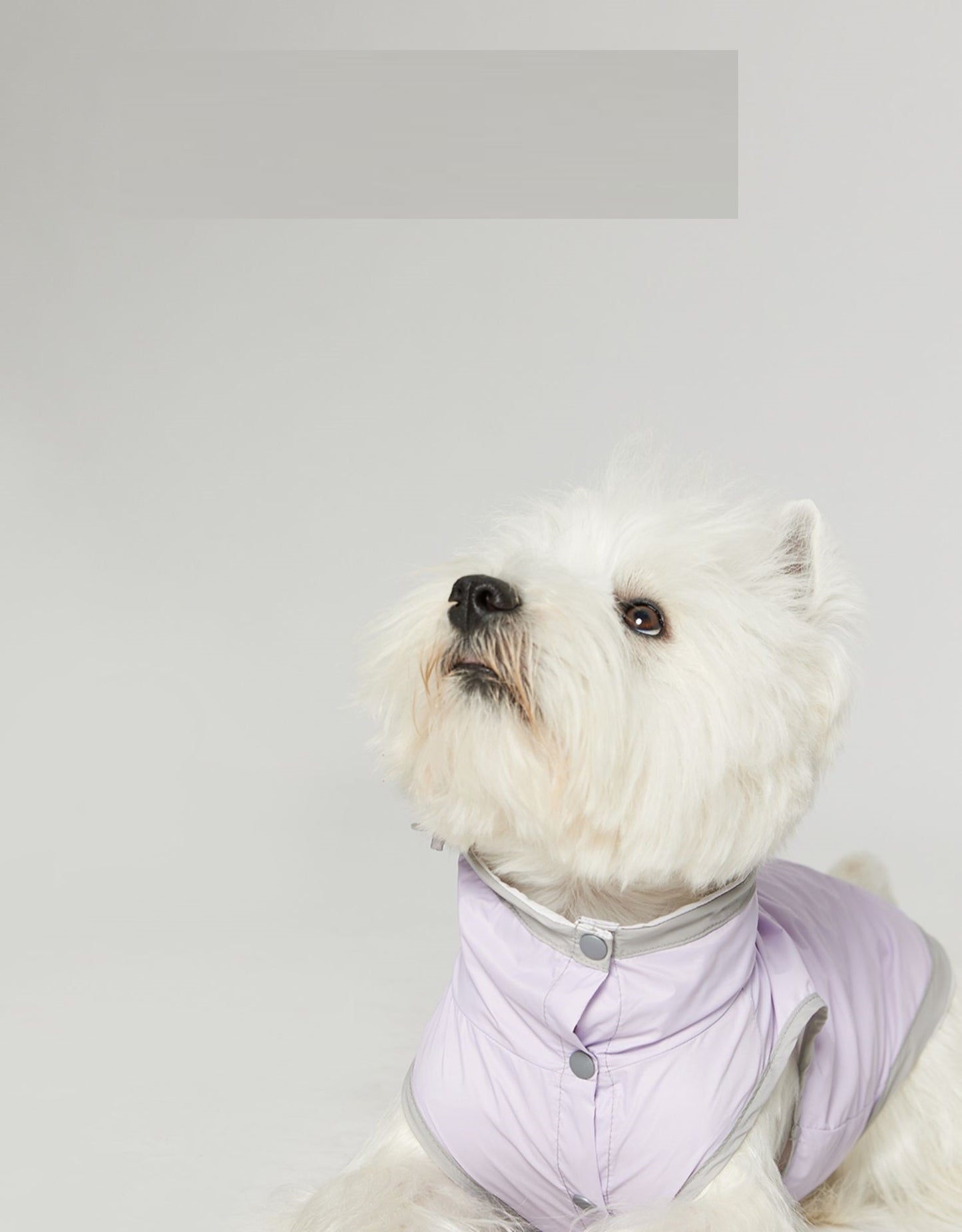 Dog Ultra-thin Vest Raincoat Water And Dirt Resistant Wind Shield