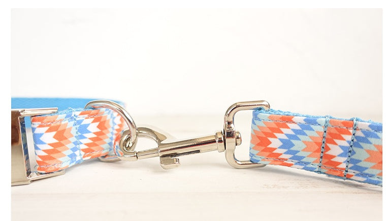 Money loop dog leash set portable dog running leash rope