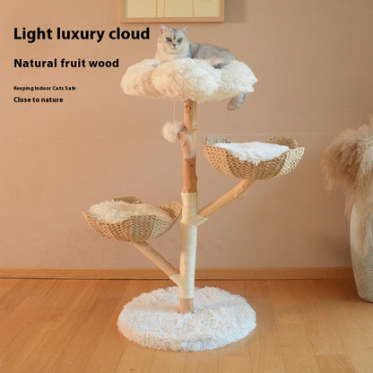 Natural Fruit Tree Cat Climbing Frame Solid Wood Rattan Cat Nest Cat Tree