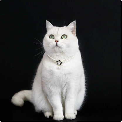 Cat Pet Jewelry Water Drop Pendant Rabbit Necklace