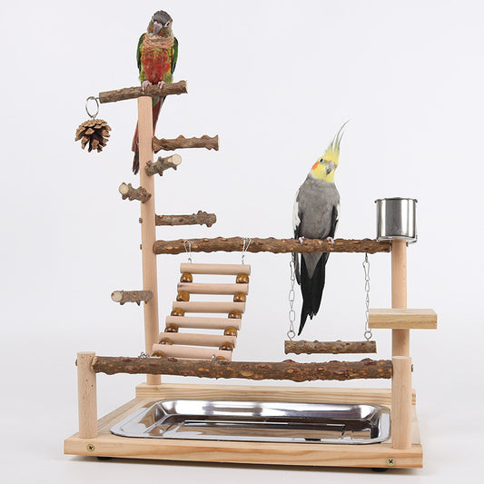 Sichuan Pepper Parrot Climbing Training Platform