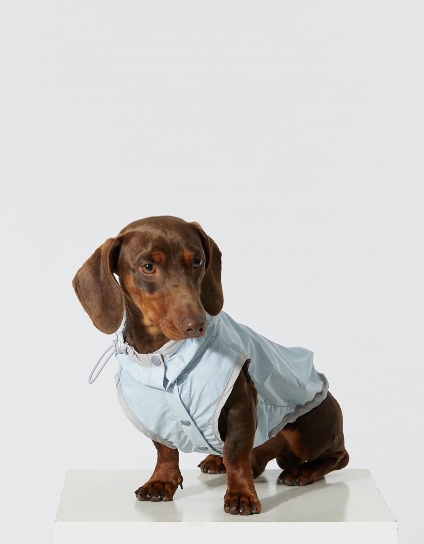 Dog Ultra-thin Vest Raincoat Water And Dirt Resistant Wind Shield