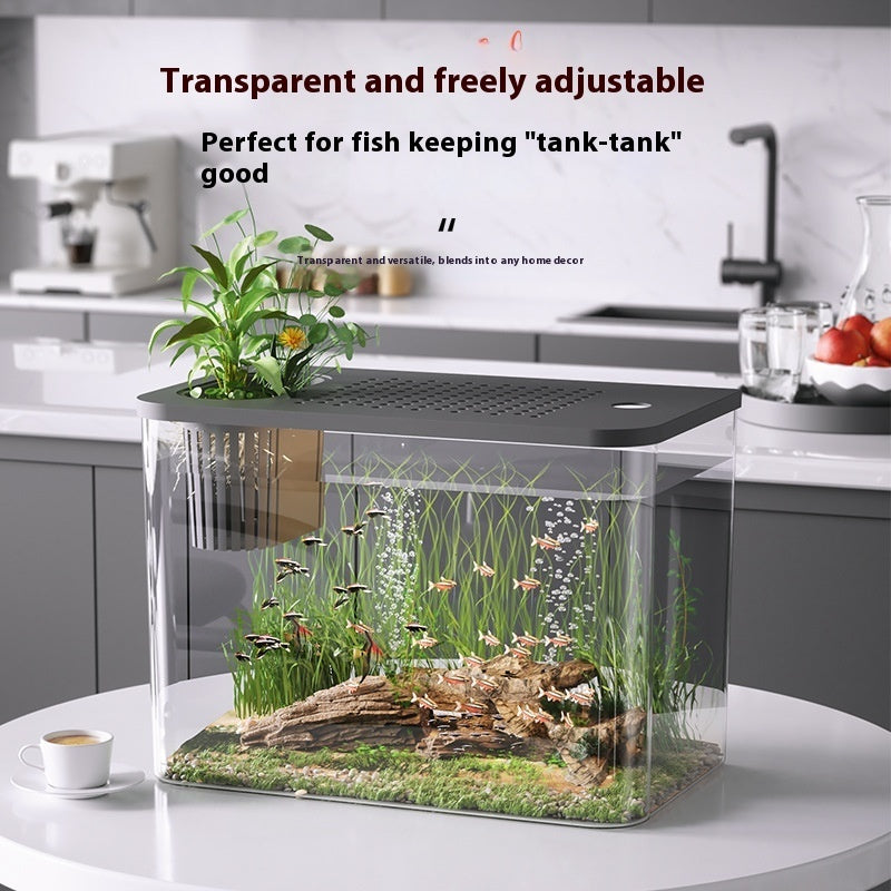 Ecological Betta Tank Living Room Mini Size Home