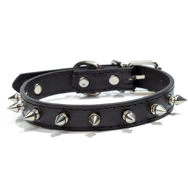 Pet With Multicolor  Pu Leather Dog Collar