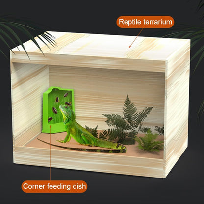 Bearded Dragon Feeder Corner Reptile Feeder Box Wall-Mounted Terrarium Feeder With Suction Cups For Lizard Iguana Gecko Bearded Dragon