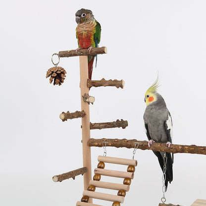 Sichuan Pepper Parrot Climbing Training Platform