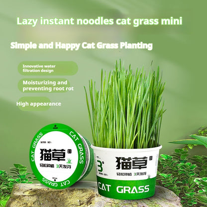 Lazy Cat Grass Canned Hydroponic Soilless Depilation Ball Digestive Snacks