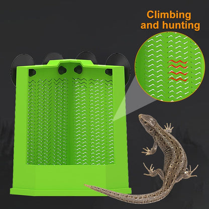 Bearded Dragon Feeder Corner Reptile Feeder Box Wall-Mounted Terrarium Feeder With Suction Cups For Lizard Iguana Gecko Bearded Dragon