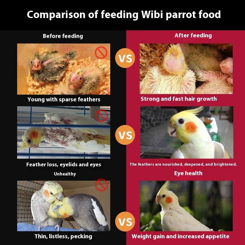 Birds Freddie Wong Mixed Grain With Shell